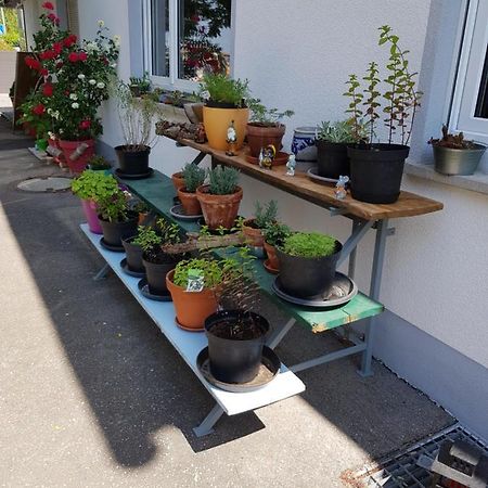 Ferienwohnung Namaste Langenargen Esterno foto