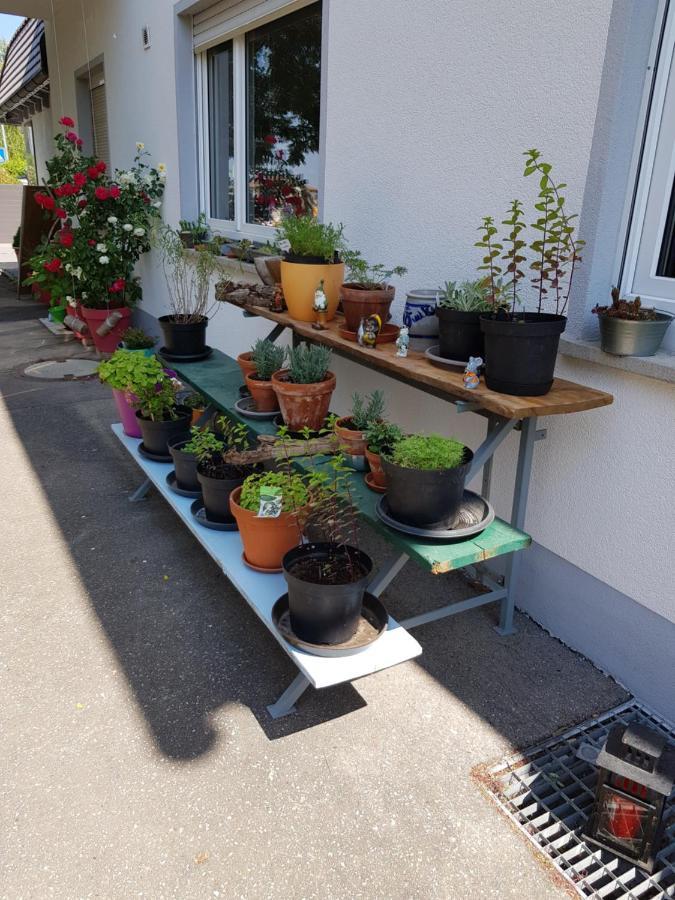 Ferienwohnung Namaste Langenargen Esterno foto